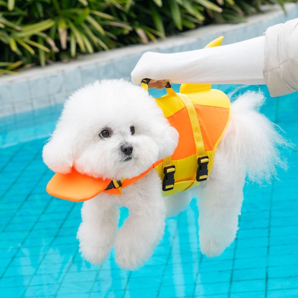 Köpek Can Yeleği Köpek Yüzme Y - Life Jacket incelemesi ve fiyatı