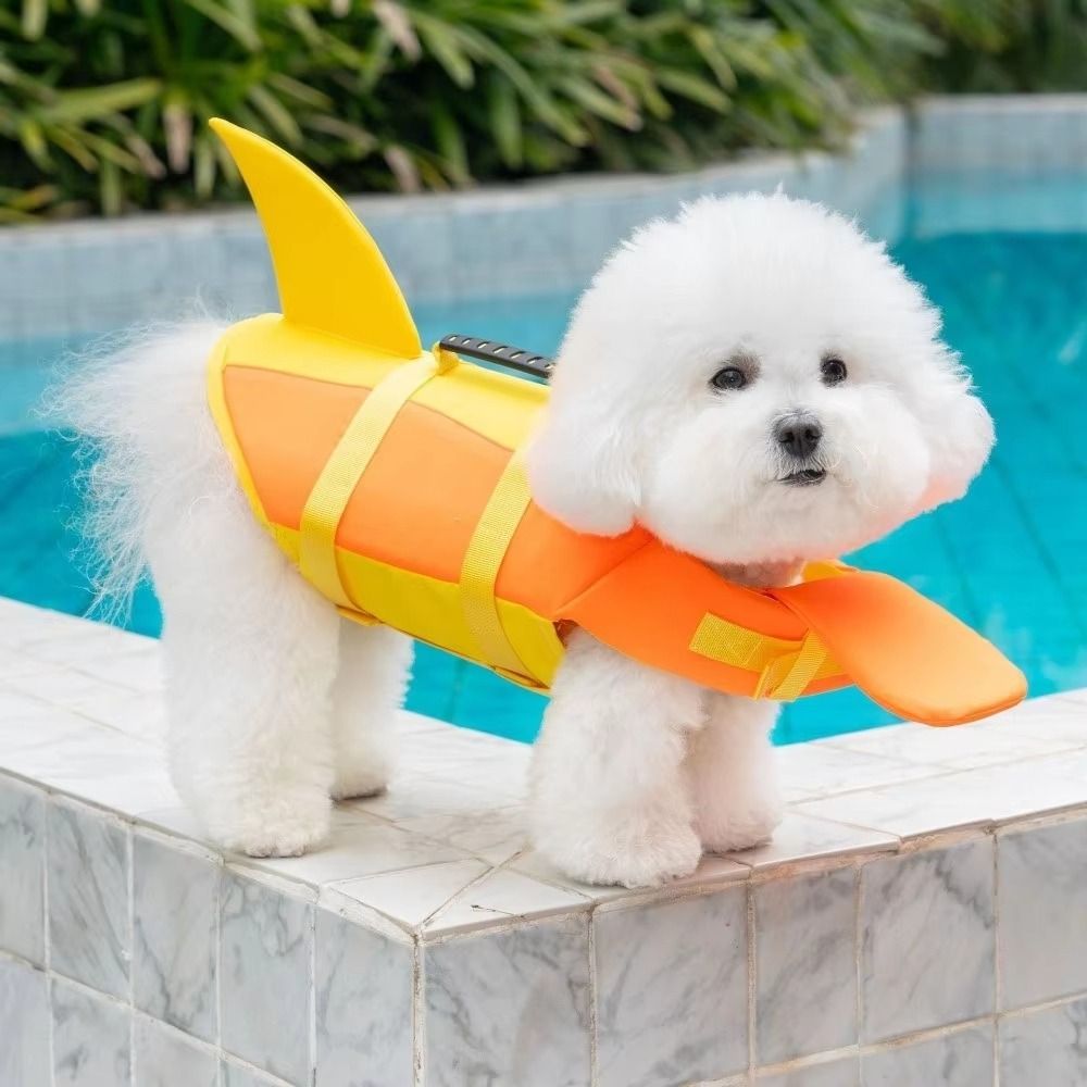 Köpek Can Yeleği Köpek Yüzme Y - Life Jacket incelemesi ve fiyatı